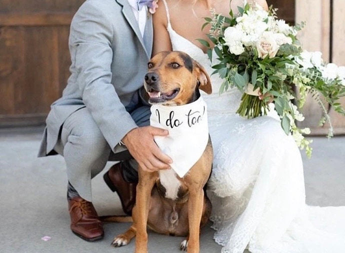 I do too dog Wedding Bandana